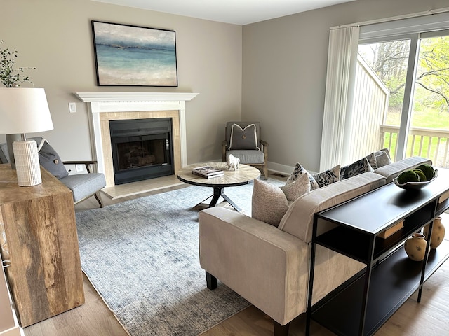 living room with a fireplace with raised hearth and wood finished floors