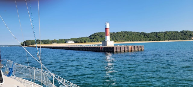 dock area with a water view and a view of trees