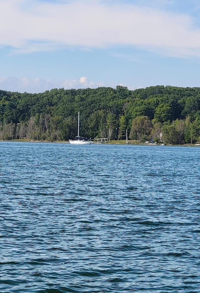water view with a forest view