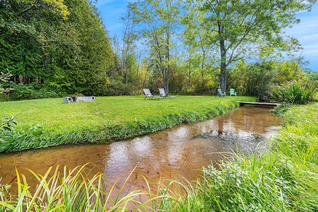 view of water feature