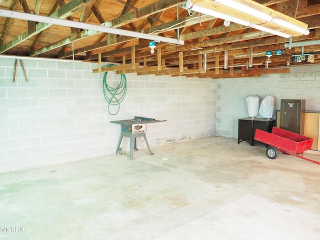 basement featuring concrete block wall