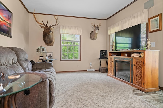 2469 Ash Te Wette Beach Dr, Hillsdale, MI 49242 - carpeted living area with baseboards, ornamental molding, and a glass covered fireplace