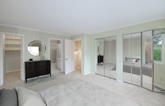 carpeted bedroom with crown molding, ensuite bathroom, baseboards, and multiple closets