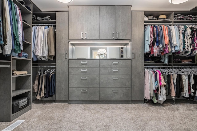 spacious closet featuring visible vents and carpet