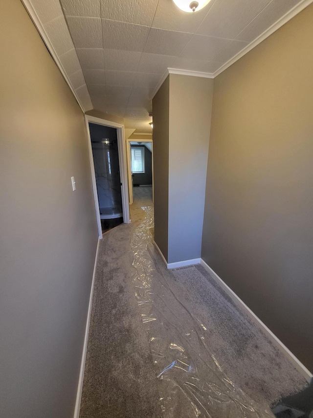 hall with crown molding, baseboards, and carpet