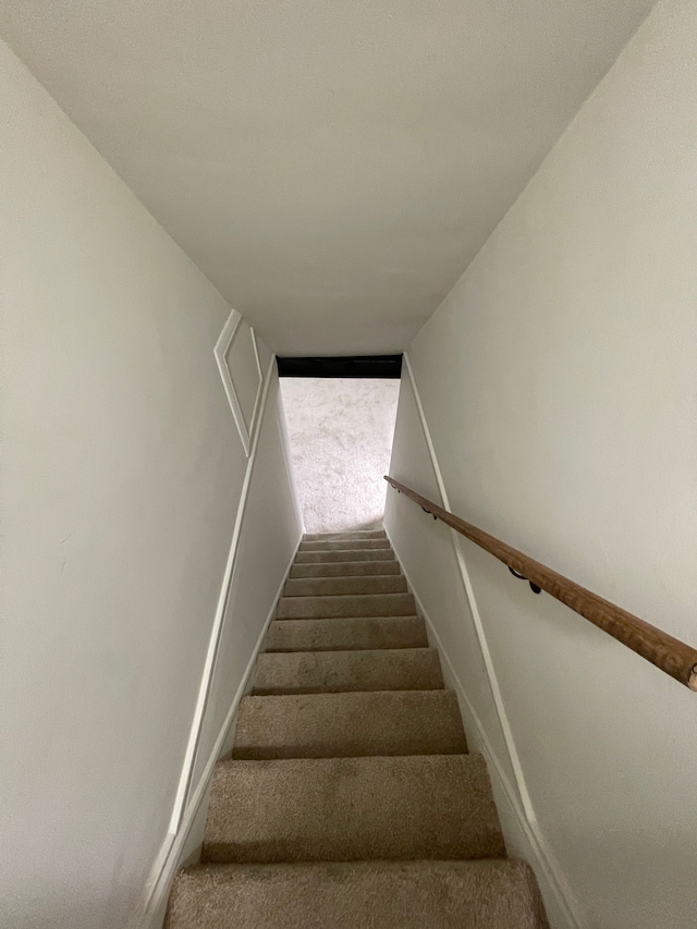 stairs featuring carpet floors