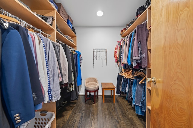 spacious closet featuring wood finished floors