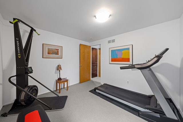exercise area featuring carpet flooring