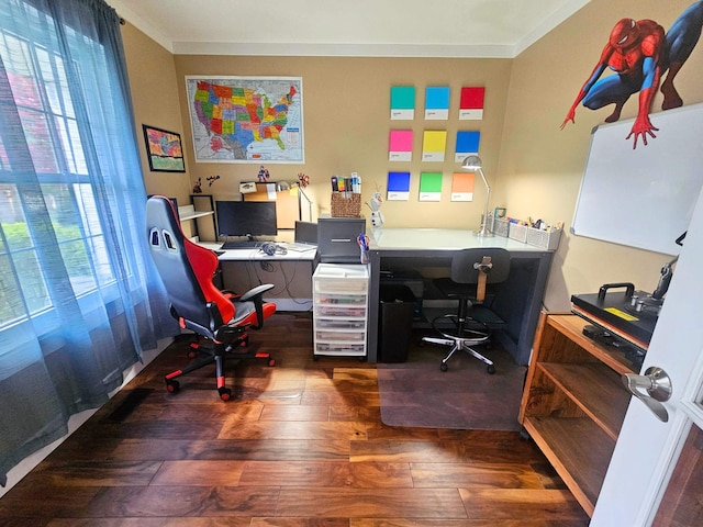 office space featuring a wealth of natural light and wood-type flooring