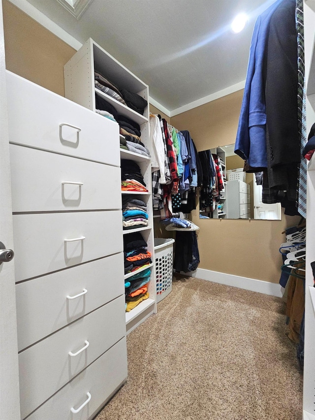 spacious closet featuring carpet floors