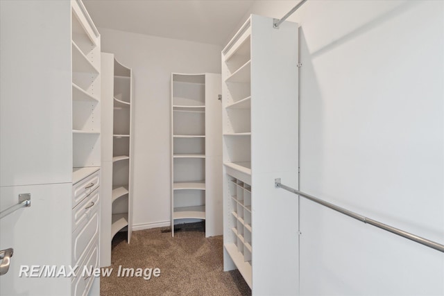 walk in closet featuring carpet
