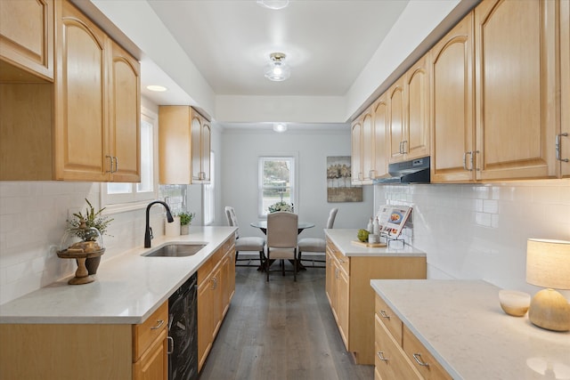 224 N Hewitt Rd, Ypsilanti, MI 48197 - kitchen featuring a sink, under cabinet range hood, light brown cabinetry, and tasteful backsplash