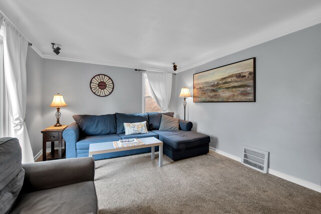 living area featuring baseboards, visible vents, ornamental molding, and carpet
