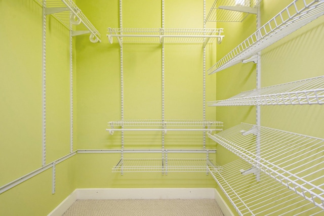 walk in closet featuring carpet flooring