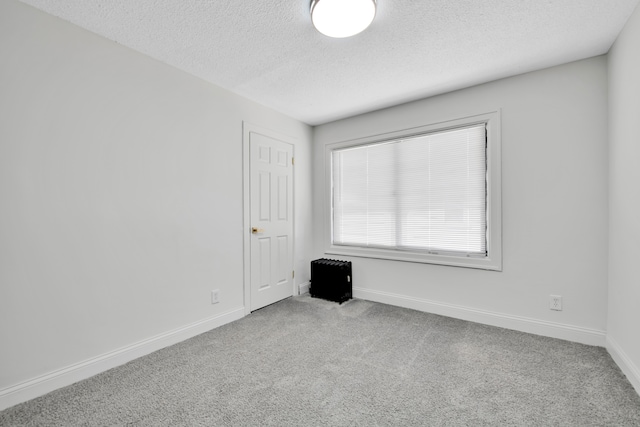 16560 Ashton Ave, Detroit, MI 48219 - empty room with a textured ceiling, carpet, and baseboards