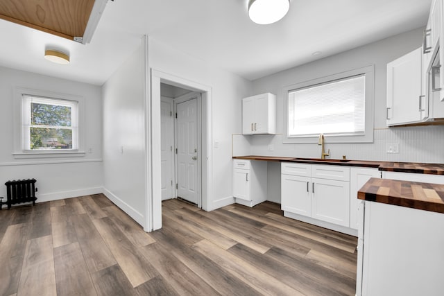 16560 Ashton Ave, Detroit, MI 48219 - kitchen with wood counters, a sink, radiator, backsplash, and dark wood-type flooring