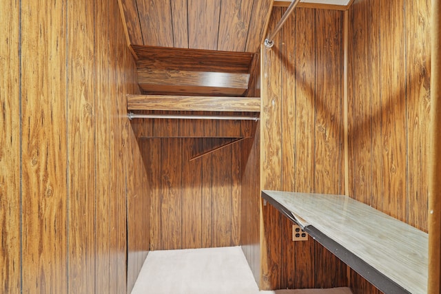 25030 Sherwood Cir, Southfield, MI 48075 - view of walk in closet