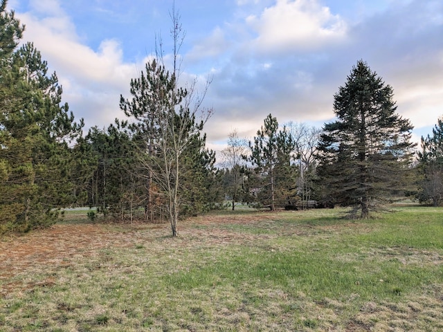 view of yard featuring a view of trees