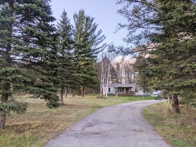 view of road with aphalt driveway