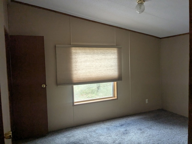 unfurnished room with carpet, a decorative wall, and vaulted ceiling