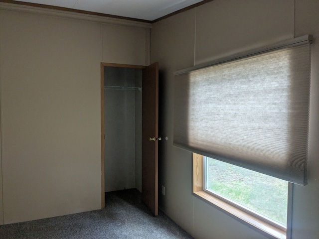 unfurnished bedroom featuring carpet floors and a closet
