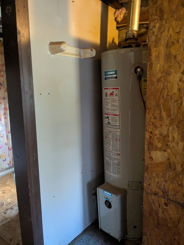 utility room with gas water heater