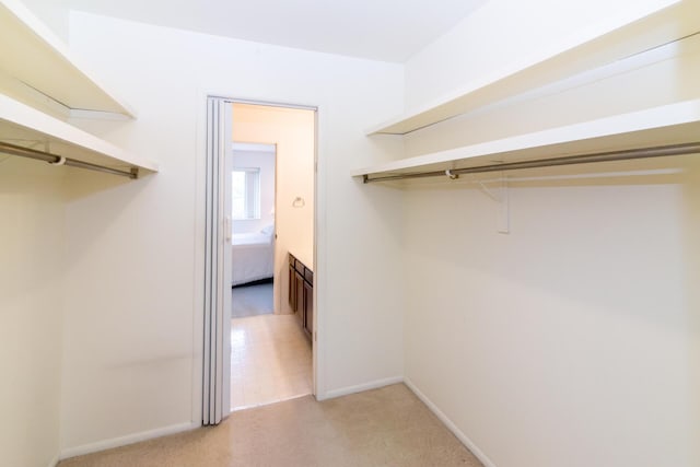 spacious closet featuring light colored carpet