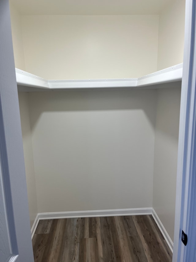 spacious closet with dark wood-type flooring