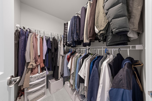 spacious closet featuring carpet flooring