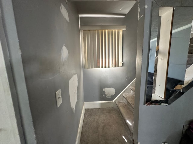interior space with baseboards and carpet