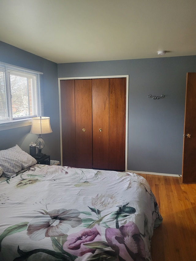 3022 Wolverine Dr, Ann Arbor, MI 48108 - bedroom with baseboards, light wood-style floors, and a closet