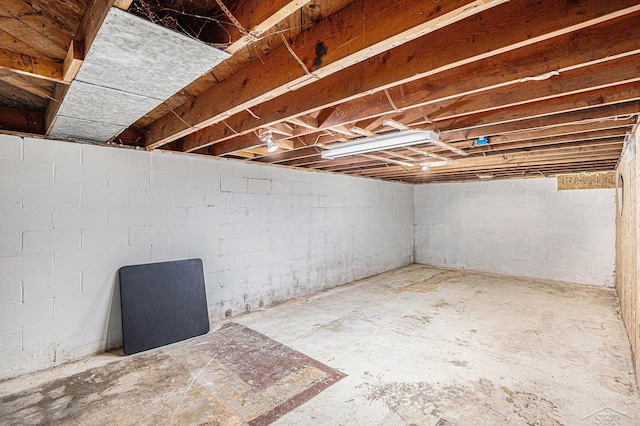 11965 Speaker Rd, Yale, MI 48097 - view of unfinished below grade area