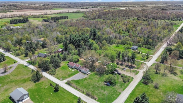 11965 Speaker Rd, Yale, MI 48097 - birds eye view of property featuring a forest view