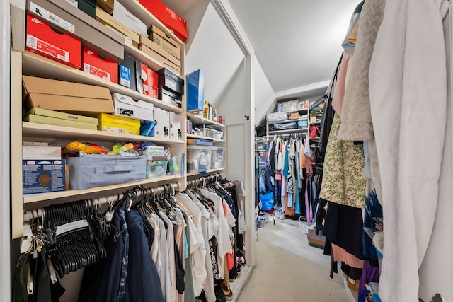 725 W Boston Blvd, Detroit, MI 48202 - view of walk in closet