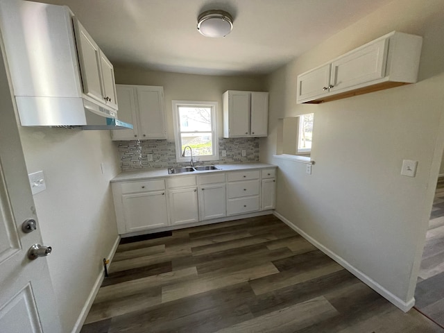 97 N Roselawn St, Pontiac, MI 48342 - kitchen with decorative backsplash, baseboards, white cabinetry, under cabinet range hood, and a sink