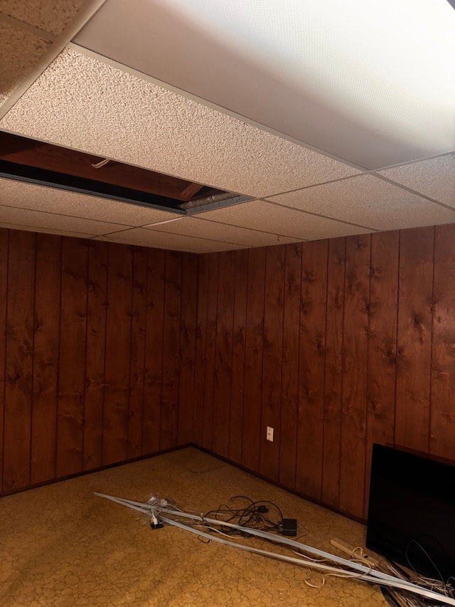 finished basement with wooden walls