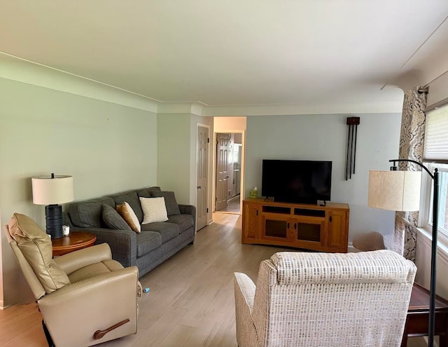 living area with light wood-style floors