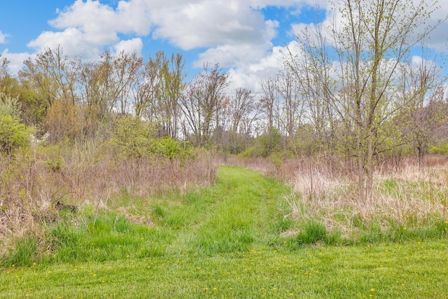 view of nature