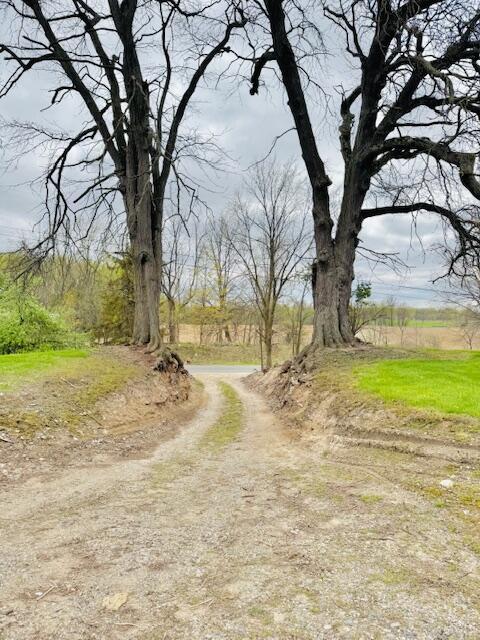 view of road