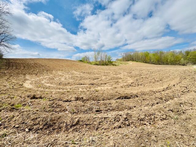 view of local wilderness featuring a rural view