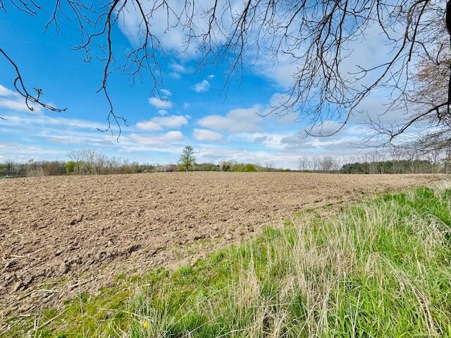 view of local wilderness featuring a rural view