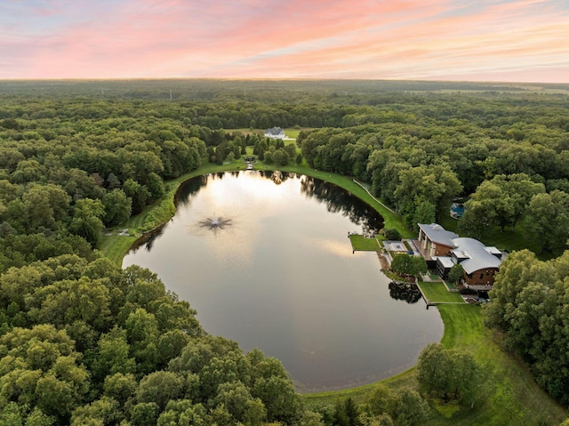 10463 W H Ave, Kalamazoo, MI 49009 - bird's eye view with a water view and a view of trees