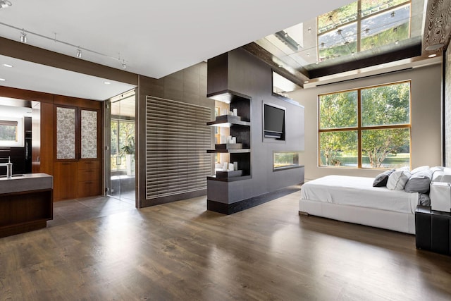10463 W H Ave, Kalamazoo, MI 49009 - bedroom with rail lighting, a sink, a glass covered fireplace, a high ceiling, and dark wood-type flooring