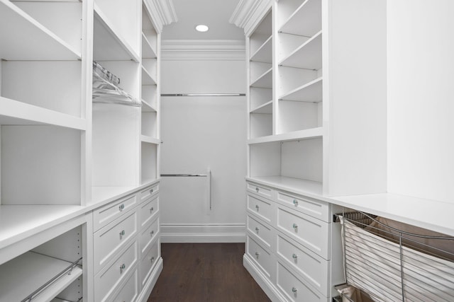 10463 W H Ave, Kalamazoo, MI 49009 - walk in closet with dark wood-style flooring