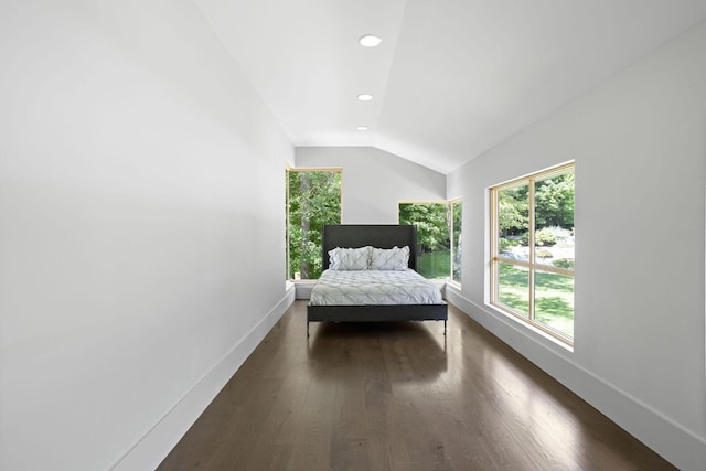 10463 W H Ave, Kalamazoo, MI 49009 - bedroom featuring baseboards, lofted ceiling, multiple windows, and wood finished floors
