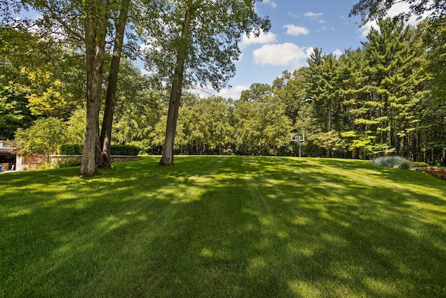 10463 W H Ave, Kalamazoo, MI 49009 - view of yard