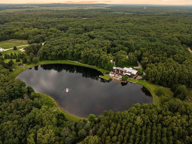 10463 W H Ave, Kalamazoo, MI 49009 - drone / aerial view with a forest view and a water view