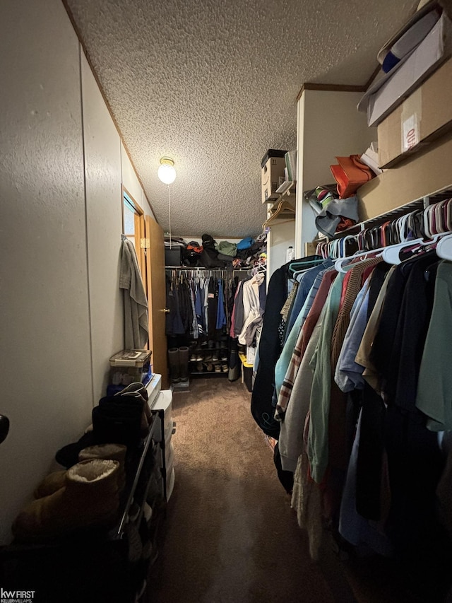 spacious closet featuring carpet