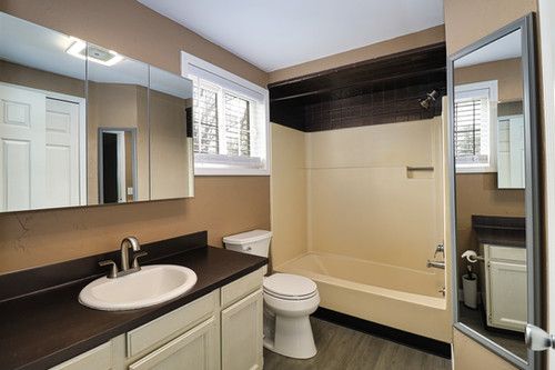 full bath with vanity, plenty of natural light, toilet, and wood finished floors