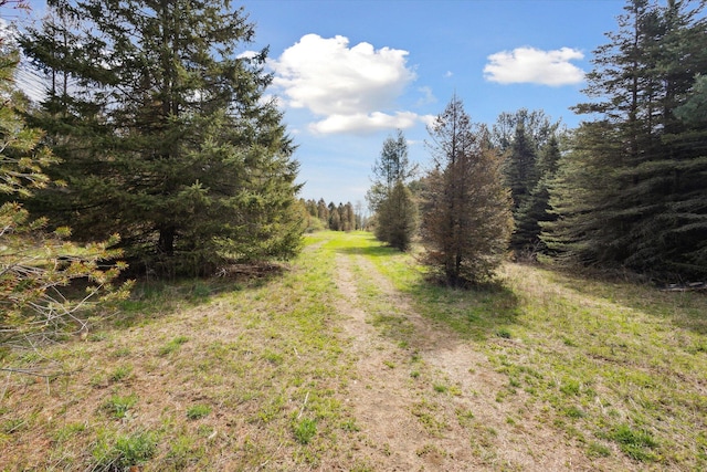view of road featuring a wooded view